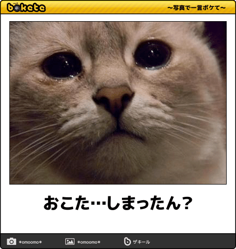 こたつで寝ない方法