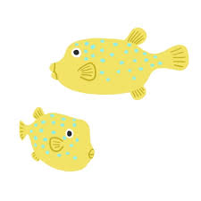 自分の横顔が嫌いな人ー！