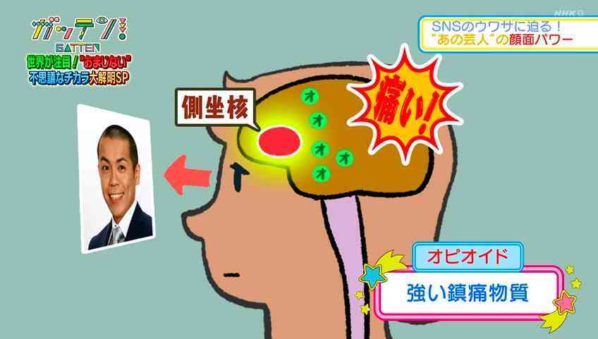 自分の横顔が嫌いな人ー！