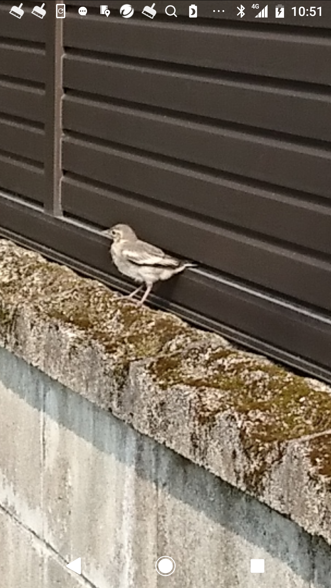 【野鳥】バードウォッチングしてる人!