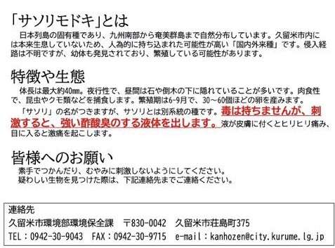 一番嫌いな虫
