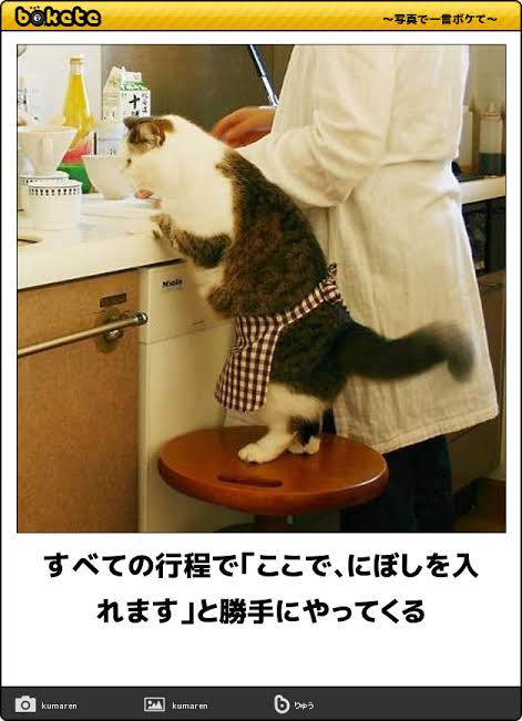 お手伝いがきっかけで家事が嫌いになった人