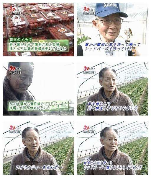 野菜収穫に時給4500円　軍が燃料運搬、人手不足深刻　英