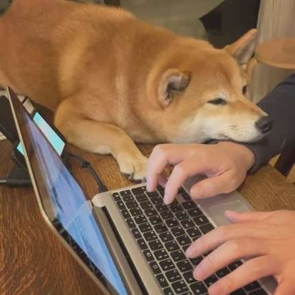 在宅勤務の悩み事