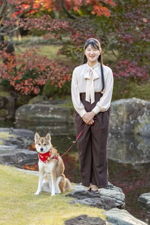 高級住宅街あるある