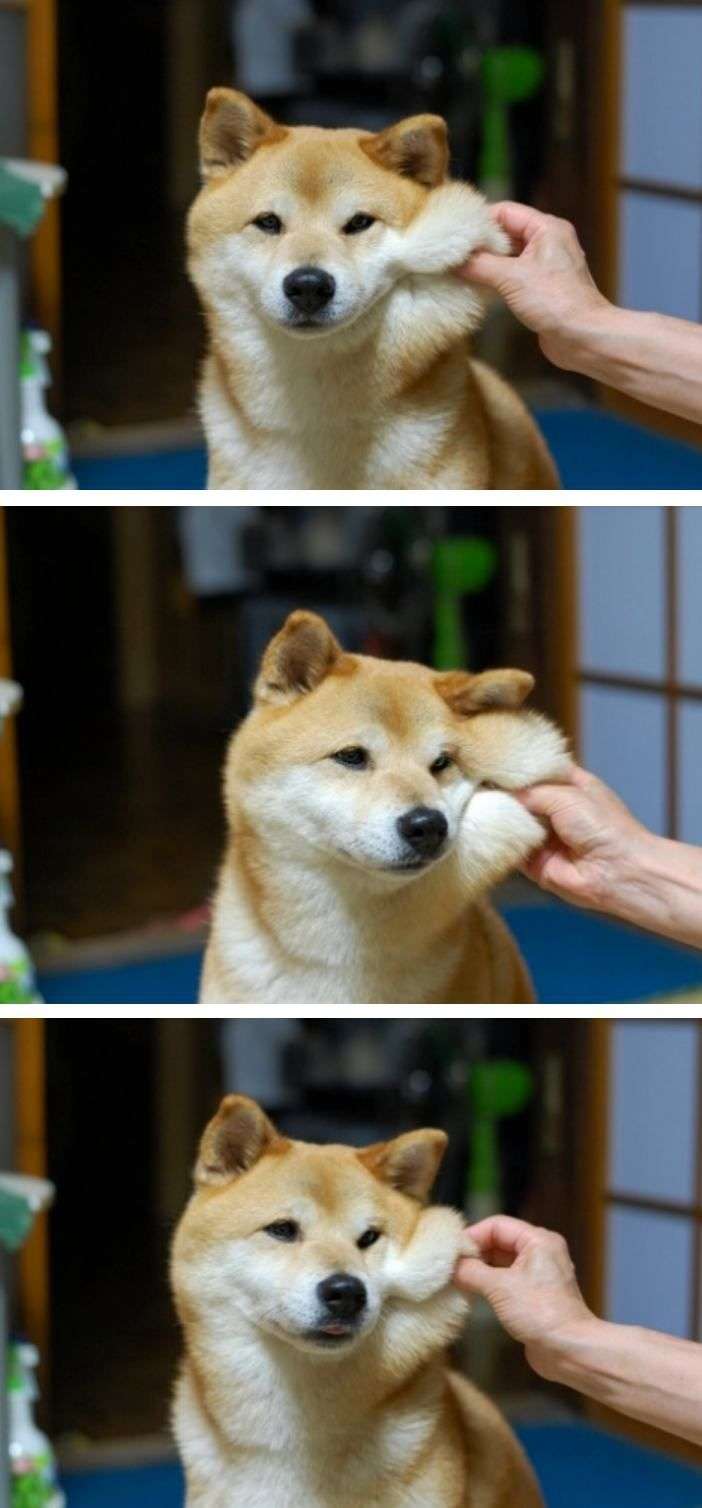 肌がごわつく時のケア