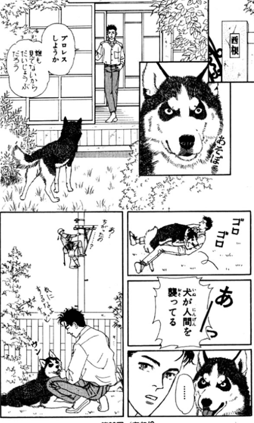 飼ってみたい飼っている犬種をあげていこう!