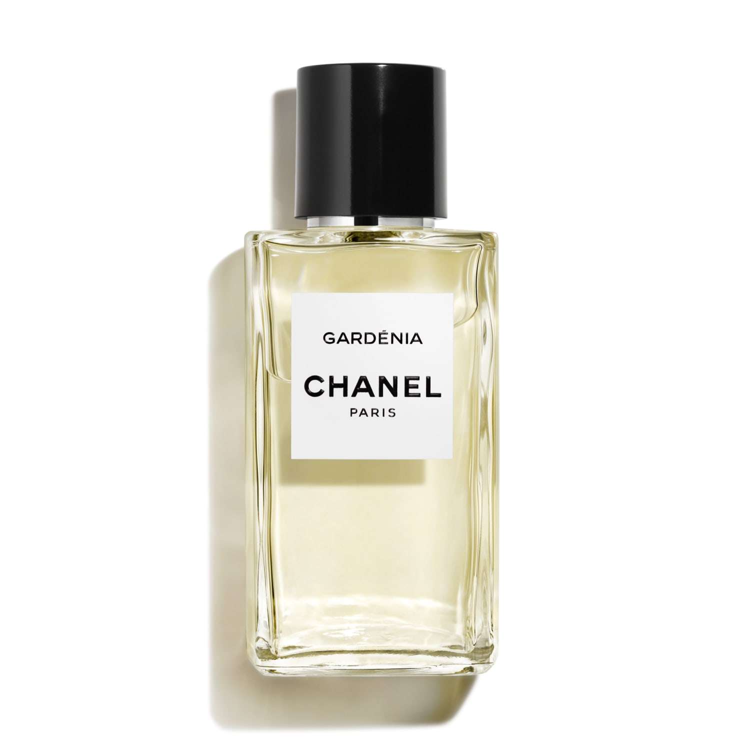 CHANEL(シャネル)のコスメ好きな人