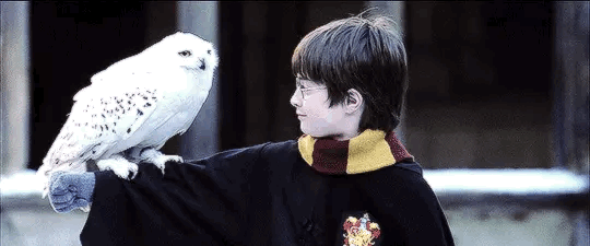 ［ハリーポッター］好きなキャラ