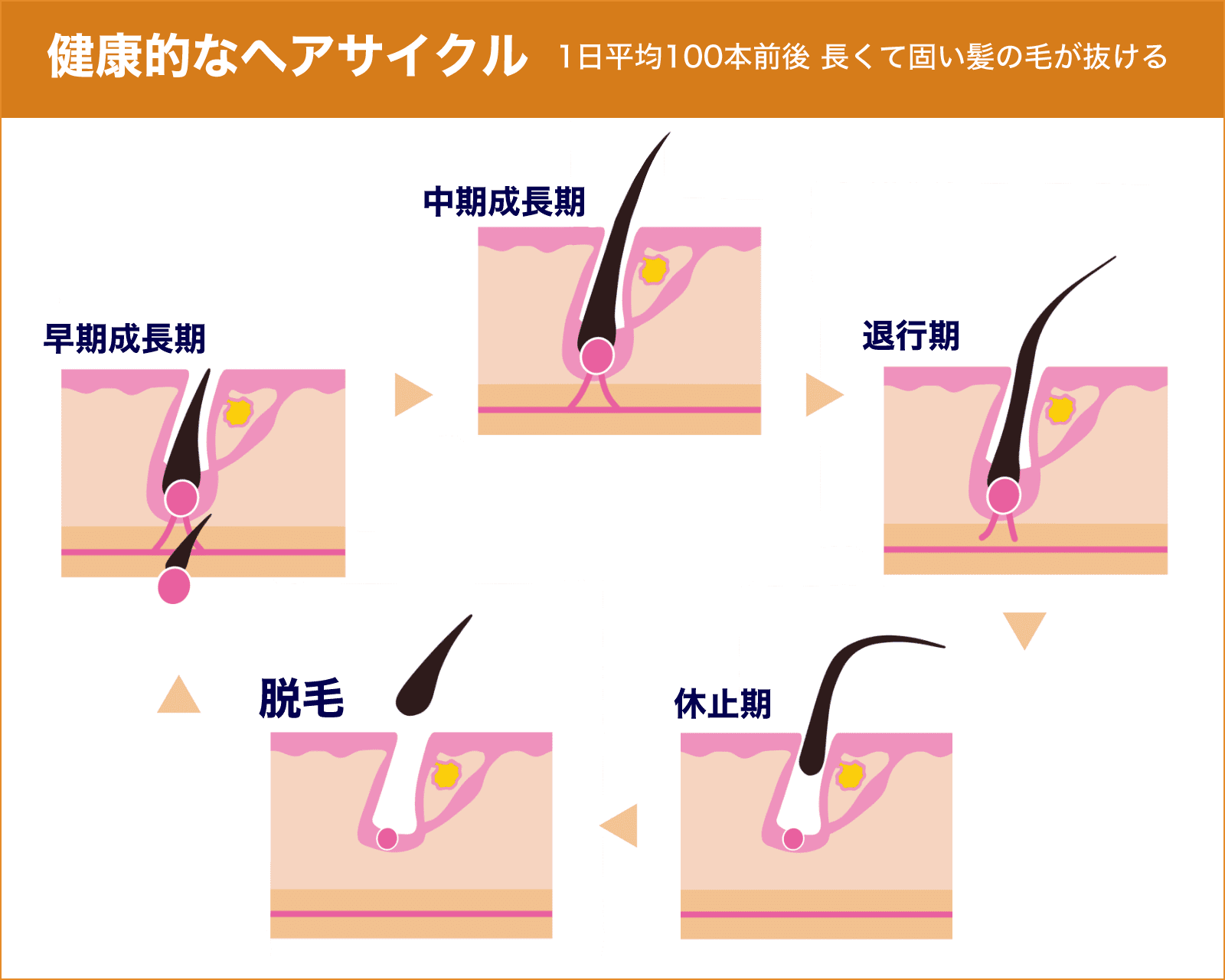 【ジャンル問わず】効果+αがあった商品