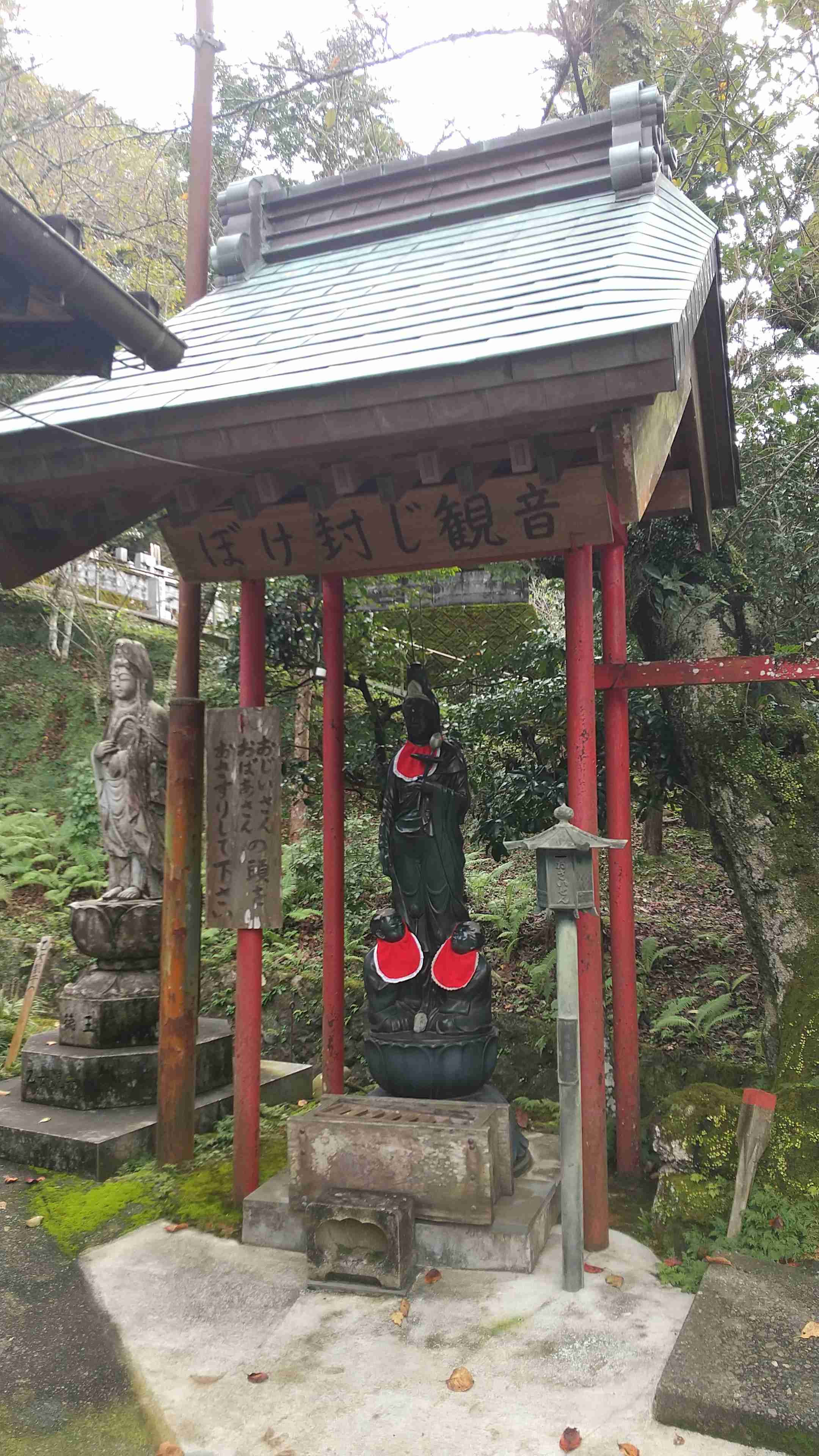 親が認知症かも⁈