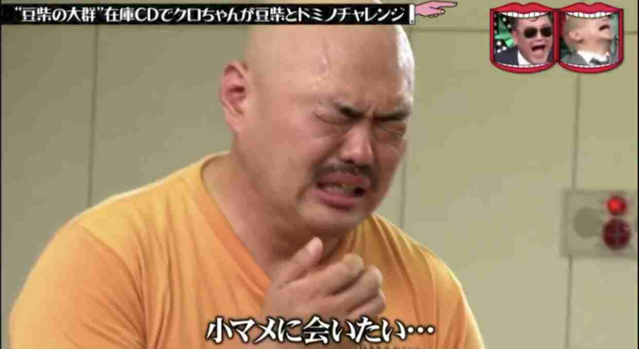 水曜日のダウンタウンが好きな人