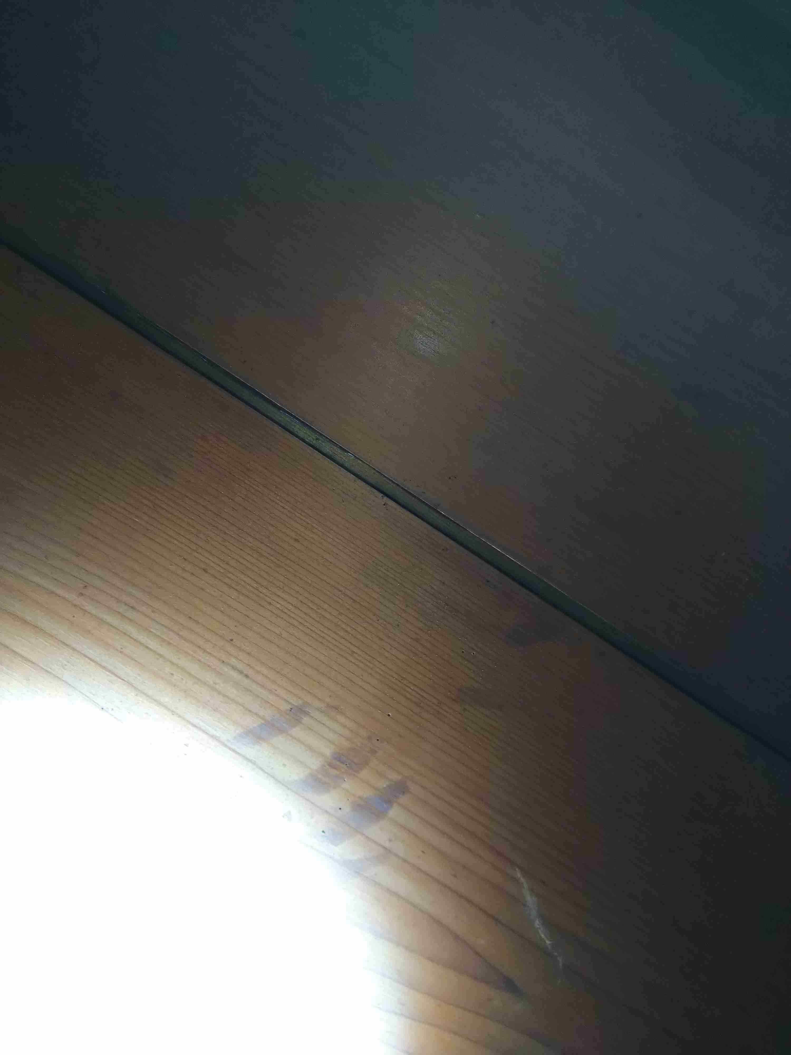 【微閲覧注意？】泊まっている宿の天井には手形がたくさんある…一見恐ろしいが、その原因は実は