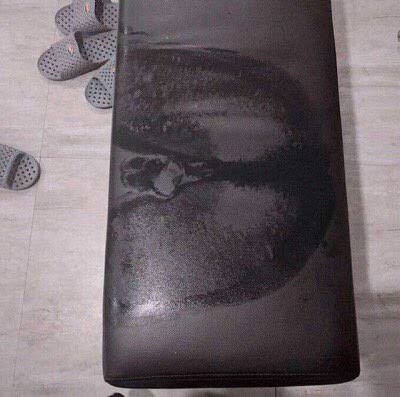 【微閲覧注意？】泊まっている宿の天井には手形がたくさんある…一見恐ろしいが、その原因は実は