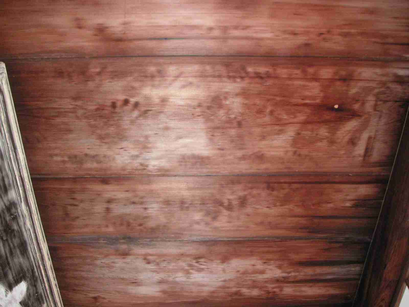 【微閲覧注意？】泊まっている宿の天井には手形がたくさんある…一見恐ろしいが、その原因は実は