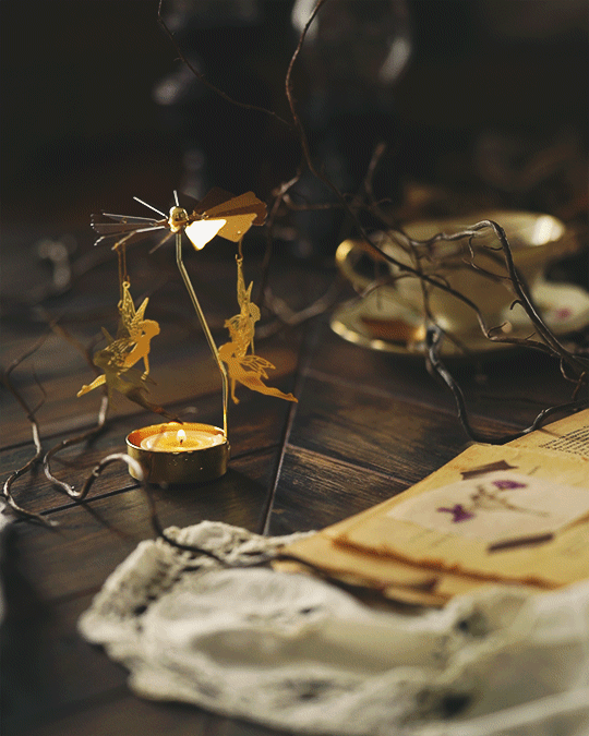 シネマグラフが見たい【秋~冬】