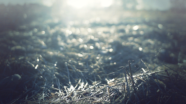 シネマグラフが見たい【秋~冬】