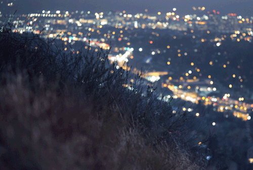 シネマグラフが見たい【秋~冬】