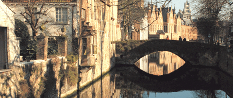 シネマグラフが見たい【秋~冬】