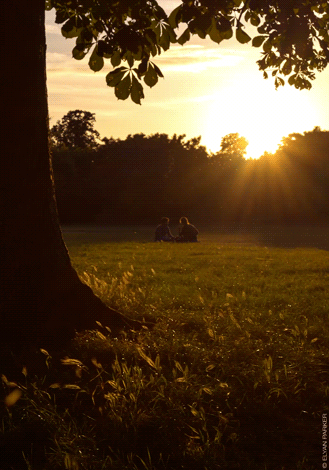 シネマグラフが見たい【秋~冬】