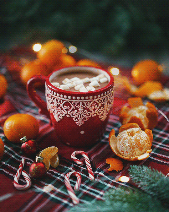 シネマグラフが見たい【秋~冬】