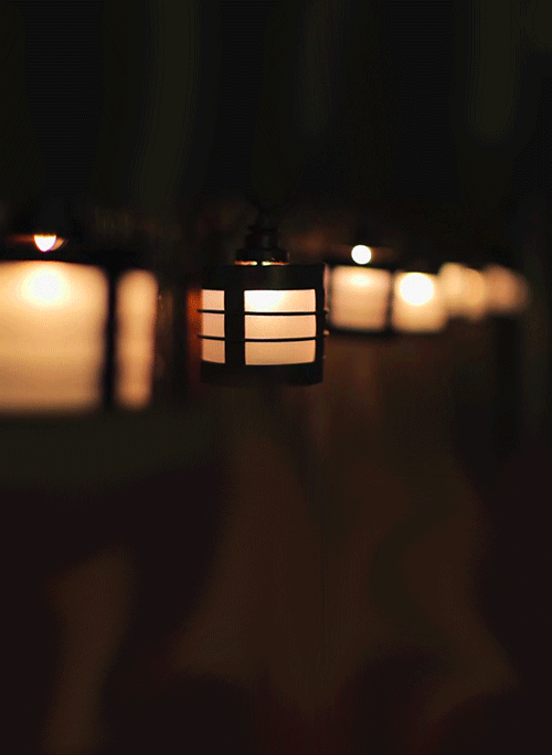 シネマグラフが見たい【秋~冬】