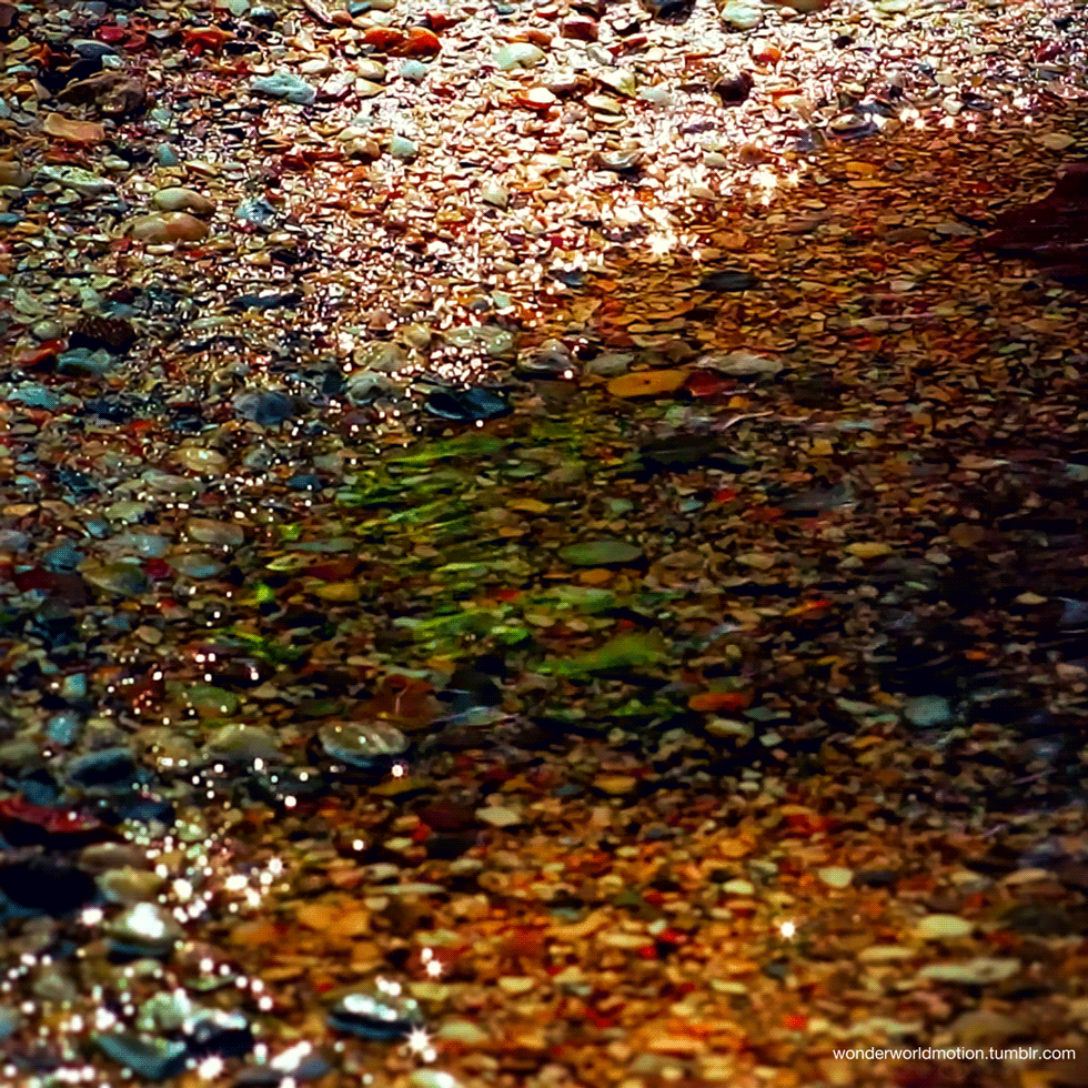 シネマグラフが見たい【秋~冬】