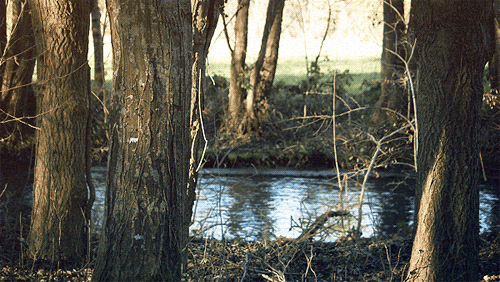シネマグラフが見たい【秋~冬】