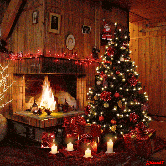 シネマグラフが見たい【秋~冬】