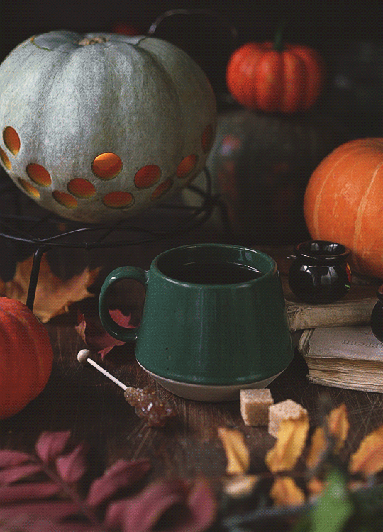 シネマグラフが見たい【秋~冬】