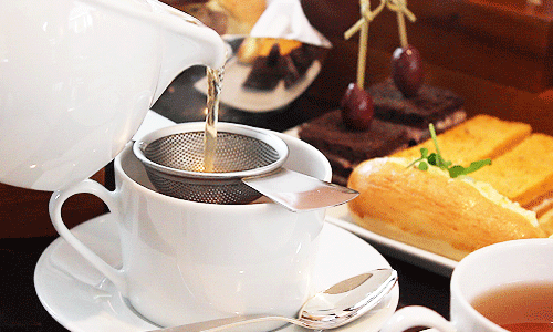 シネマグラフが見たい【秋~冬】