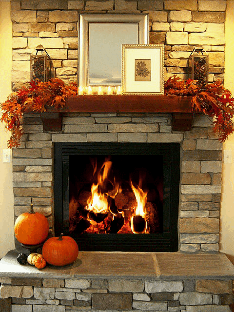 シネマグラフが見たい【秋~冬】