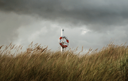 シネマグラフが見たい【秋~冬】