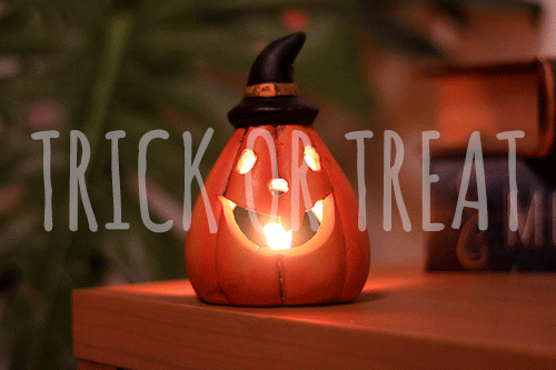 シネマグラフが見たい【秋~冬】