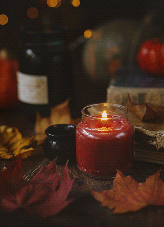 シネマグラフが見たい【秋~冬】