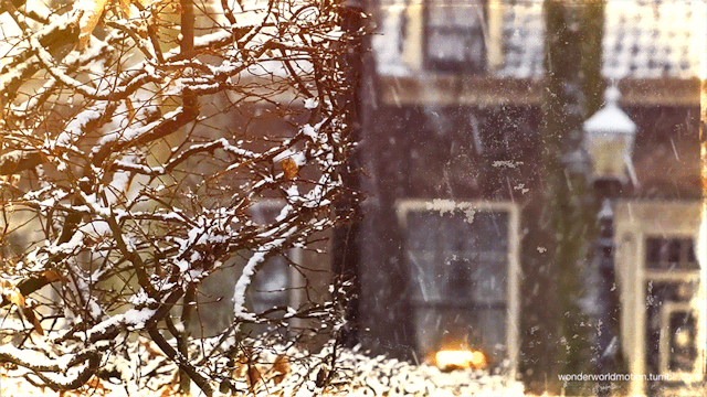 シネマグラフが見たい【秋~冬】