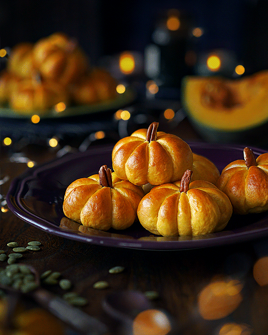 シネマグラフが見たい【秋~冬】