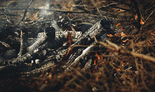 シネマグラフが見たい【秋~冬】