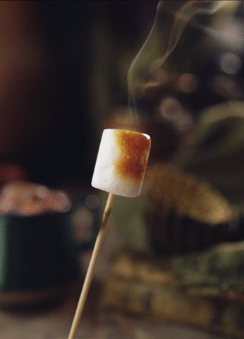 シネマグラフが見たい【秋~冬】