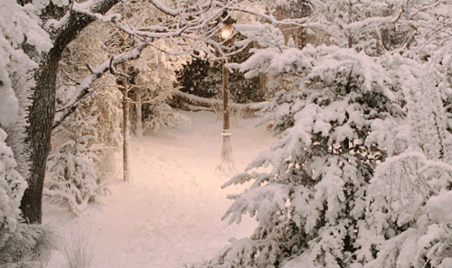 シネマグラフが見たい【秋~冬】