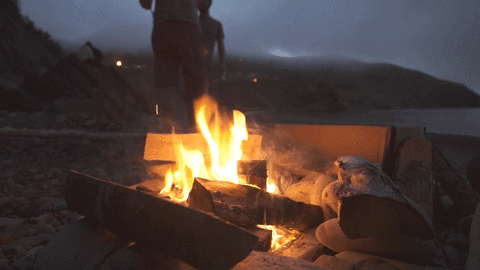 シネマグラフが見たい【秋~冬】