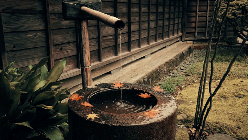 シネマグラフが見たい【秋~冬】