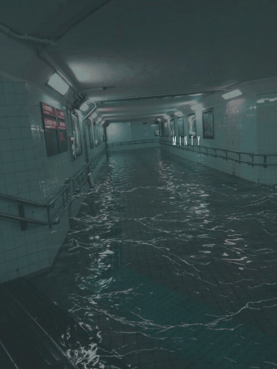 シネマグラフが見たい【秋~冬】