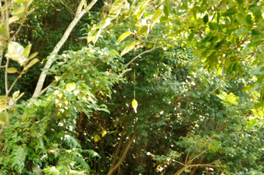 シネマグラフが見たい【秋~冬】