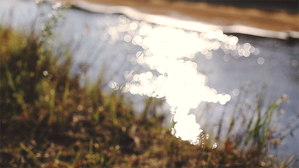 シネマグラフが見たい【秋~冬】