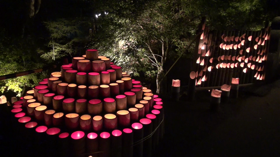 シネマグラフが見たい【秋~冬】