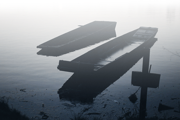 シネマグラフが見たい【秋~冬】