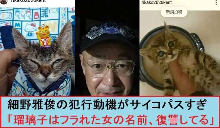 エアライフルを発射し猫を殺した男「高揚感が忘れられなかった」
