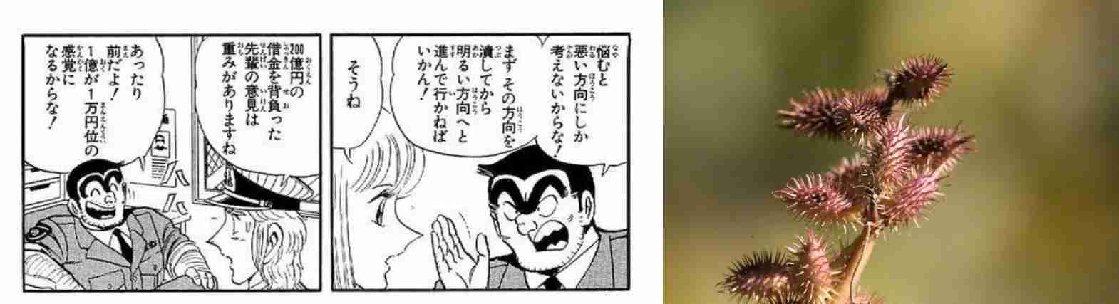 『こち亀』24時間限定で200巻分全話無料 異例の企画に両さん「1巻あたり7分12秒で読めばいい!」