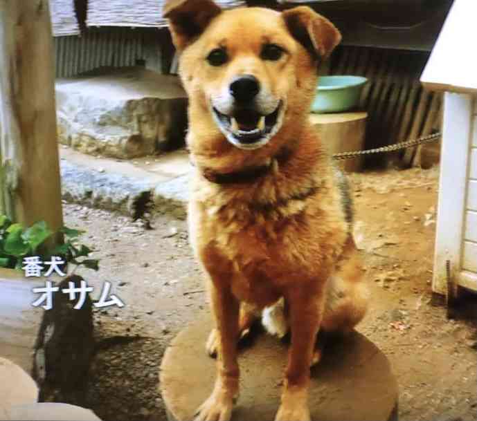 「やまと尼寺　精進日記」好きな方